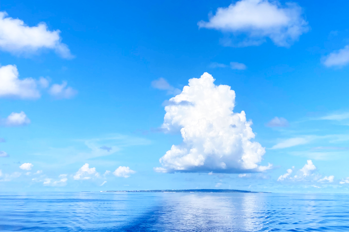 入道雲 夏を感じる空と生きもの。シーズンタオルハンカチ「入道雲」、「カクレクマノミ」 | 横浜元町 近沢レース店
